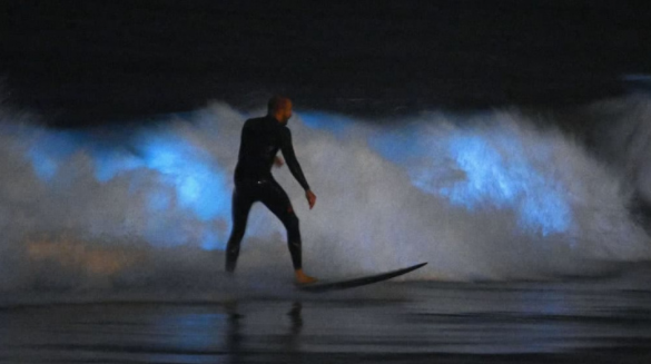 Biolumineszierende Wellen verblüffen die Bürger Südkaliforniens